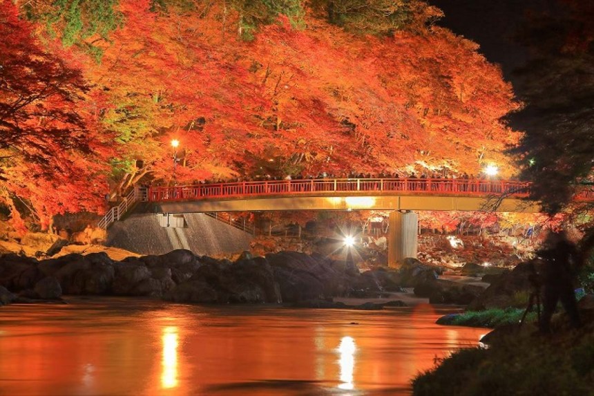 Momiji Festival